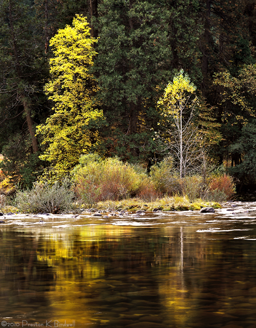 CANP Home Page-Leidig Meadow, Yosemite